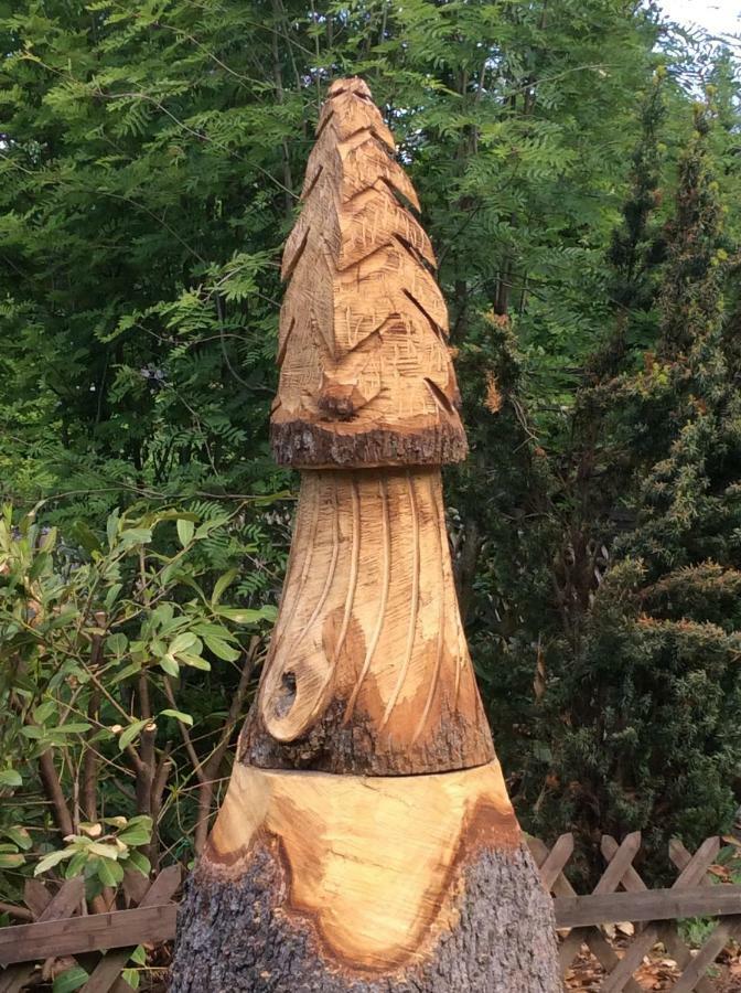 Huettenflair Am See Mit Kamin เคลาส์ทาล-เซลเลอร์เฟลด์ ภายนอก รูปภาพ